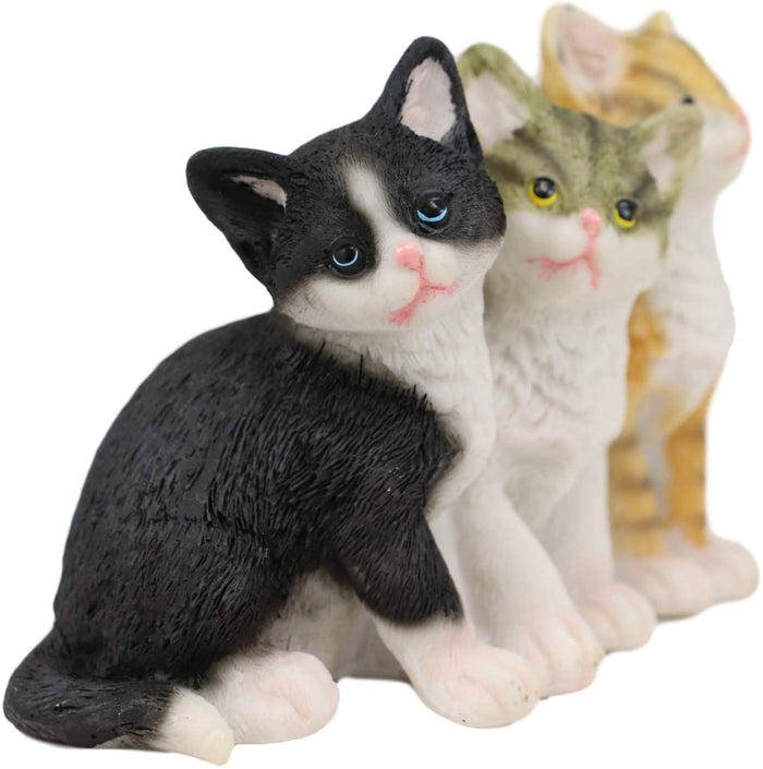 Ebros Lifelike Trio Shorthair Kittens Cats Sitting Side By Side Figurine 5" Long
