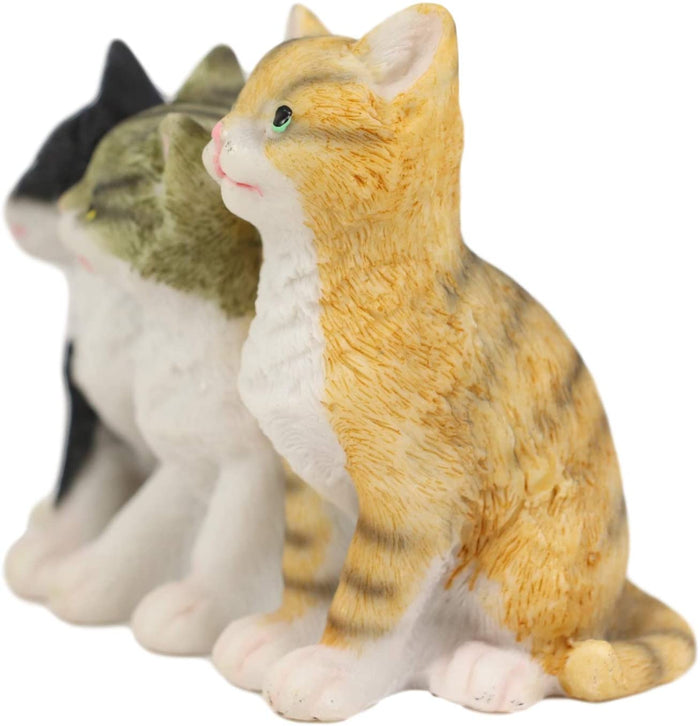 Ebros Lifelike Trio Shorthair Kittens Cats Sitting Side By Side Figurine 5" Long