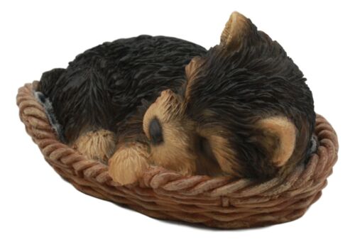 Ebros Lifelike Yorkshire Terrier Puppy Dog Sleeping In Wicker Basket Statue Yorkie Pet