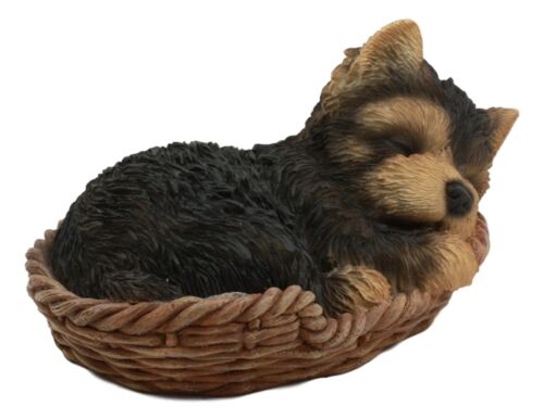 Ebros Lifelike Yorkshire Terrier Puppy Dog Sleeping In Wicker Basket Statue Yorkie Pet