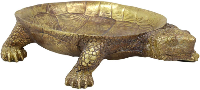 Ebros Nautical Reptile Faux Gold Tortoise Soap Keys Coins Change Jewelry Holder Statue