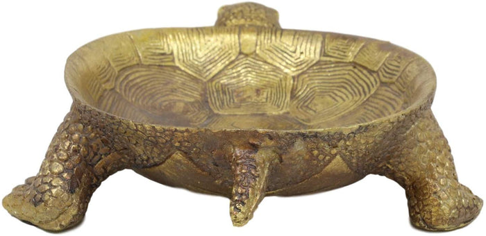 Ebros Nautical Reptile Faux Gold Tortoise Soap Keys Coins Change Jewelry Holder Statue