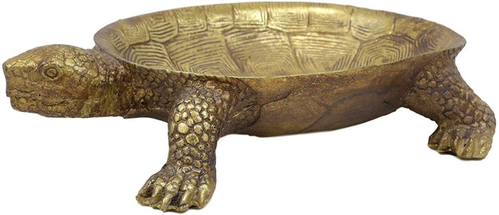 Ebros Nautical Reptile Faux Gold Tortoise Soap Keys Coins Change Jewelry Holder Statue