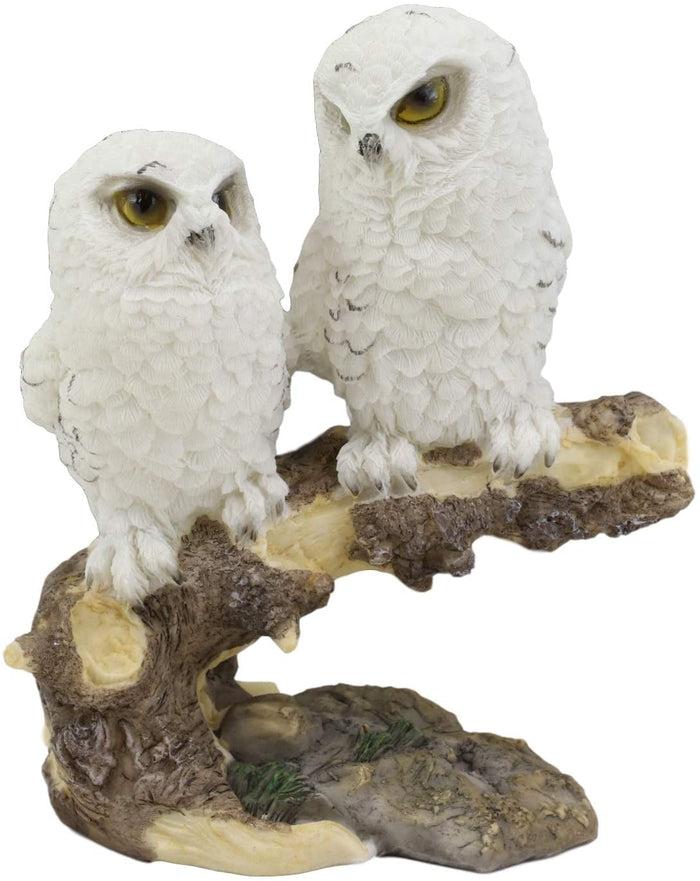 Ebros Night Spies Two White Baby Owls Perching On Tree Branch Statue 5.75" H