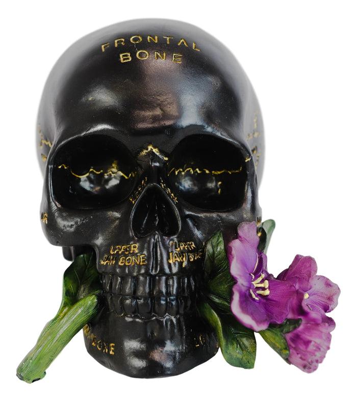 Ebros Paranormal Pentagram Colonial Witch Salem Map Skull Statue 7" Long Supernatural Occultist Sculpture As Home Decorative Witchcraft Medium Halloween Party Centerpiece