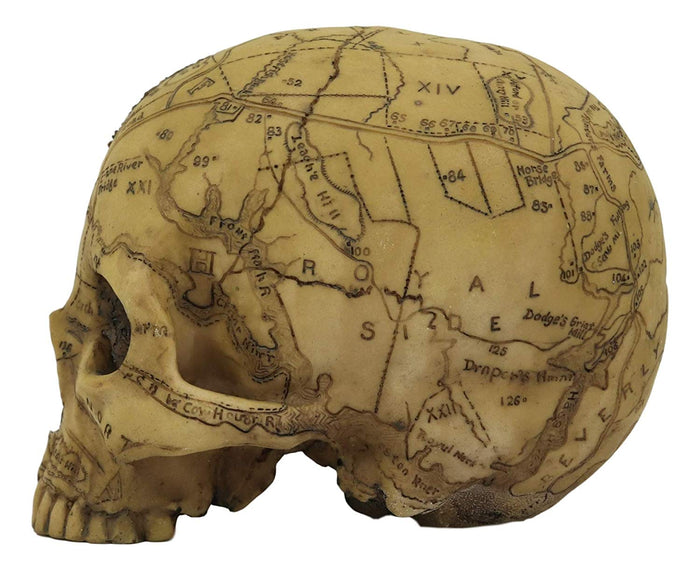 Ebros Paranormal Pentagram Colonial Witch Salem Map Skull Statue 7" Long Supernatural Occultist Sculpture As Home Decorative Witchcraft Medium Halloween Party Centerpiece