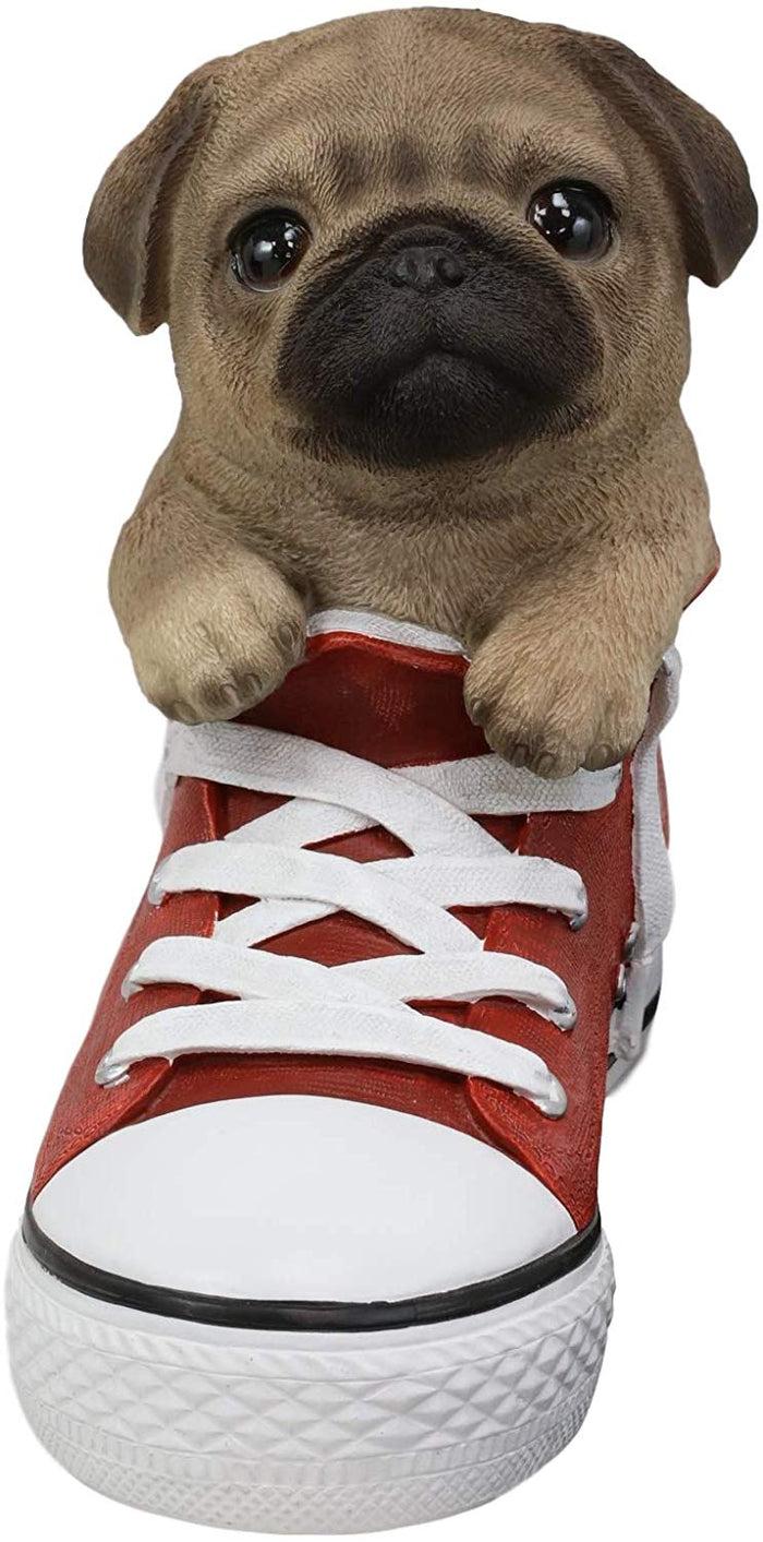 Ebros 'Paw-Star' Pups Fawn Pug Dog in Sneaker with Glass Eyes Figurine Ebros 'Paw-Star' Pups Fawn Pug Dog in Sneaker with Glass Eyes Figurine