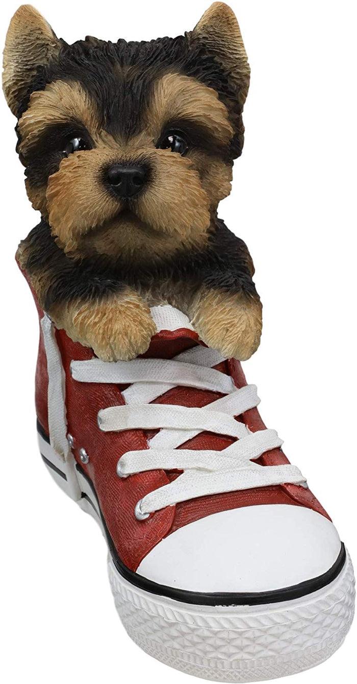 Ebros Paw-Star Pups Yorkie Yorkshire Terrier In Sneaker With Glass Eyes Figurine