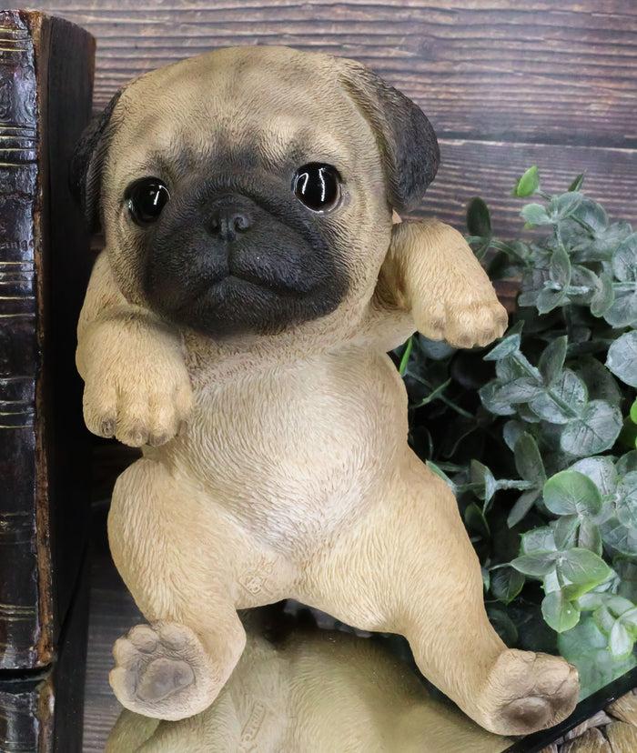 Ebros Pot Pal Hanging Pug Puppy Pooch Dog Statue 6.5" Tall With Glass Eyes