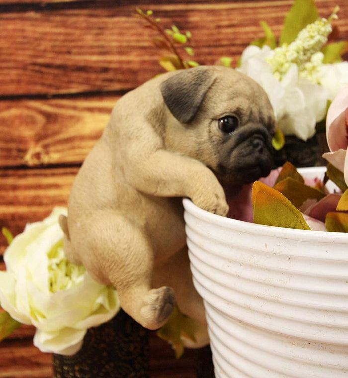 Ebros Pot Pal Hanging Pug Puppy Pooch Dog Statue 6.5" Tall with Glass Eyes Ebros Pot Pal Hanging Pug Puppy Pooch Dog Statue 6.5" Tall with Glass Eyes