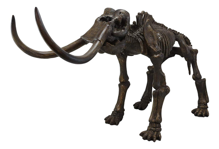 Ebros Prehistoric Elephant Jurassic Era Woolly Mammoth Fossil Skeleton 30"Long