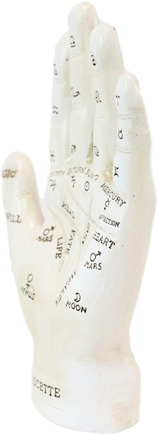 Ebros Psychic Fortune Teller Chirology Palmistry Hand Palm Figurine (White)