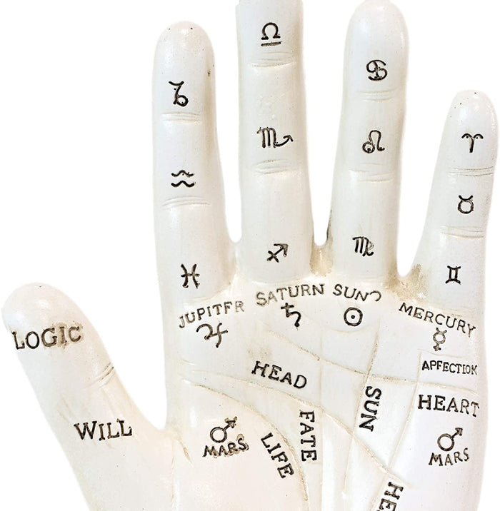 Ebros Psychic Fortune Teller Chirology Palmistry Hand Palm Figurine (White)