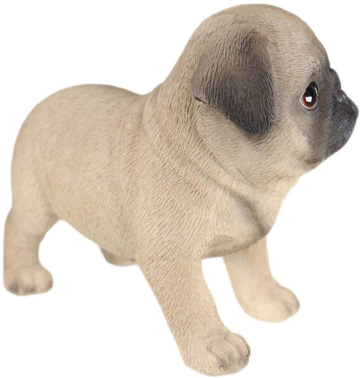 Ebros Realistic Adorable Fawn Pug Puppy Dog Figurine 5"L Pet Pal Pugsy