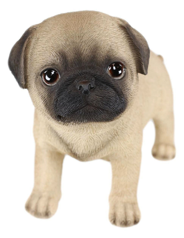 Ebros Realistic Adorable Fawn Pug Puppy Dog Figurine 5"L Pet Pal Pugsy