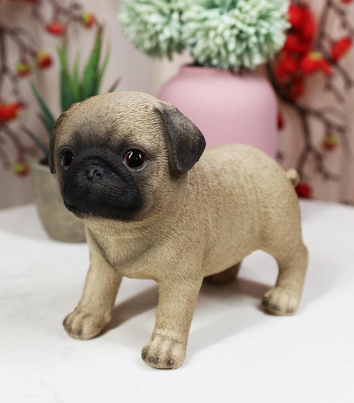 Ebros Realistic Adorable Fawn Pug Puppy Dog Figurine 5"L Pet Pal Pugsy Ebros Realistic Adorable Fawn Pug Puppy Dog Figurine 5"L Pet Pal Pugsy