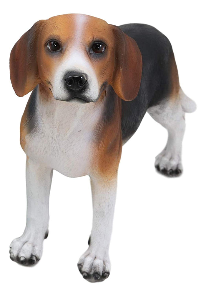 Ebros Realistic Adorable Tri Color Beagle Dog Figurine 7.75" Long Beagles Puppy Dogs Pet Memorial Collectible Decor Statue With Glass Eyes