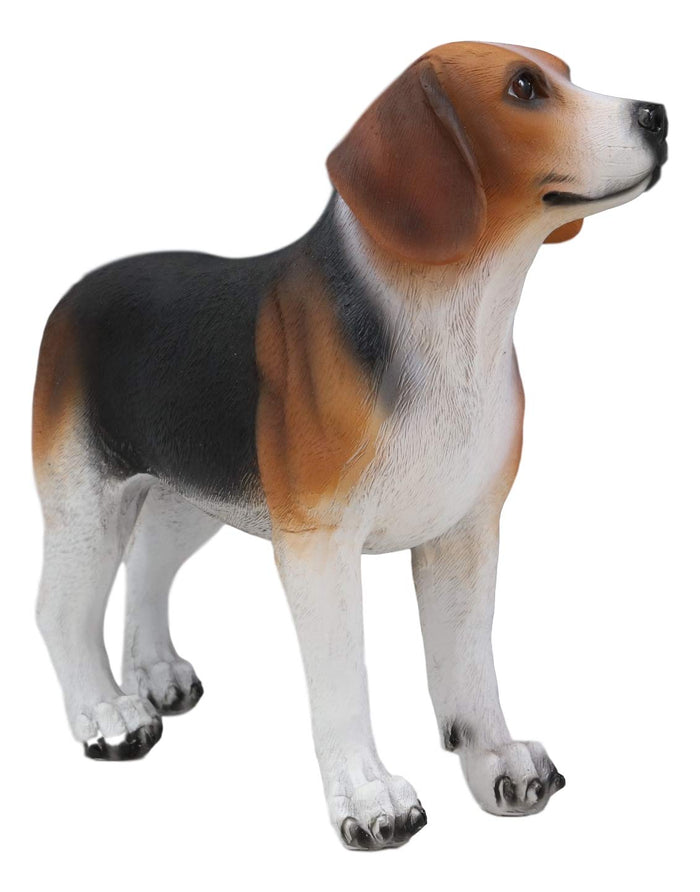 Ebros Realistic Adorable Tri Color Beagle Dog Figurine 7.75" Long Beagles Puppy Dogs Pet Memorial Collectible Decor Statue With Glass Eyes