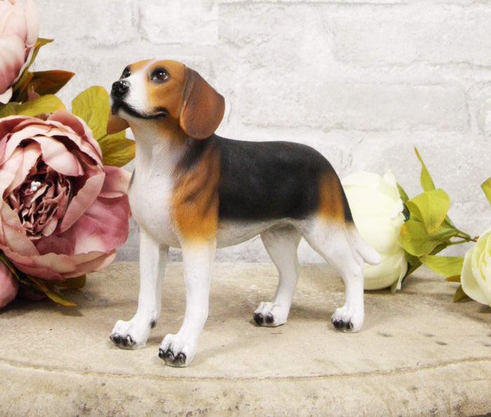 Ebros Realistic Adorable Tri Color Beagle Dog Figurine 7.75" Long Beagles Puppy Dogs Pet Memorial Collectible Decor Statue with Glass Eyes Ebros Realistic Adorable Tri Color Beagle Dog Figurine 7.75" Long Beagles Puppy Dogs Pet Memorial Collectible Decor Statue with Glass Eyes
