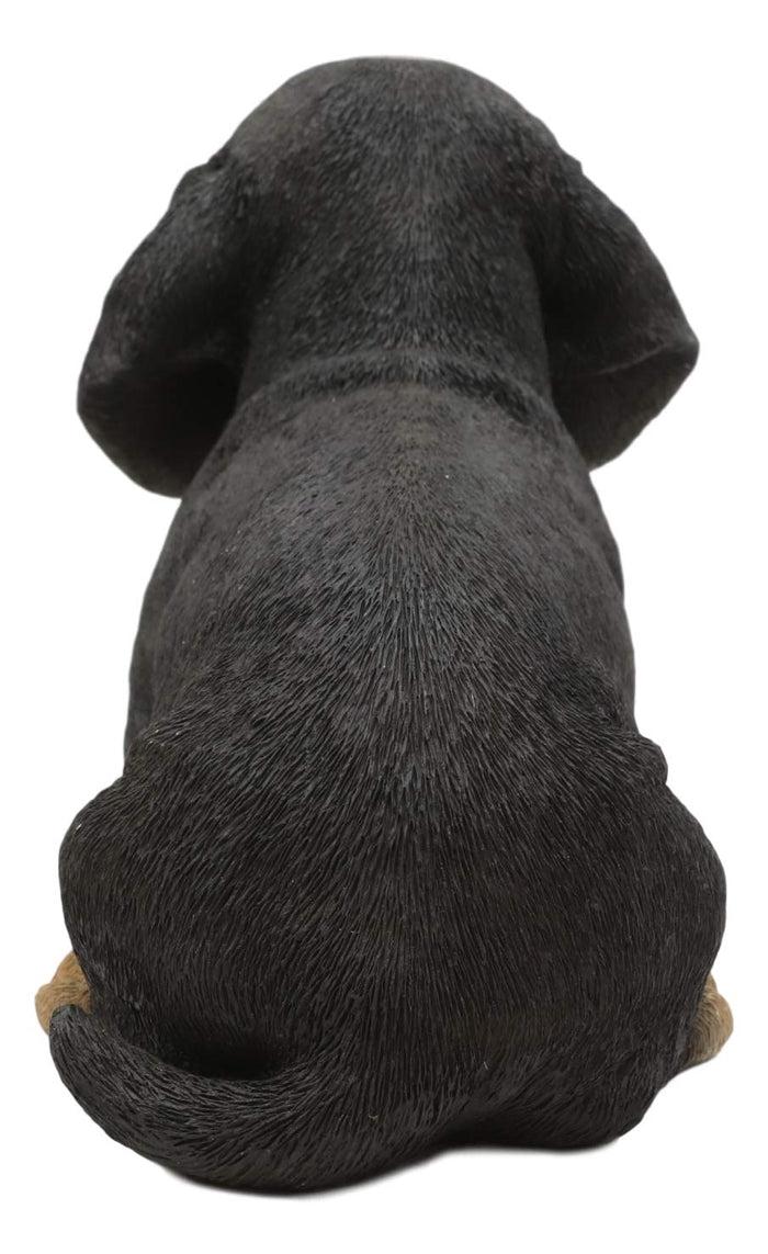 Ebros Realistic Black And Tan Dachshund Puppy Statue 8"L Schnitzel Sausage Wiener Dog