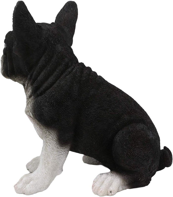 Ebros Realistic Black French Bulldog Puppy Dog With Glass Eyes Statue 7" Tall