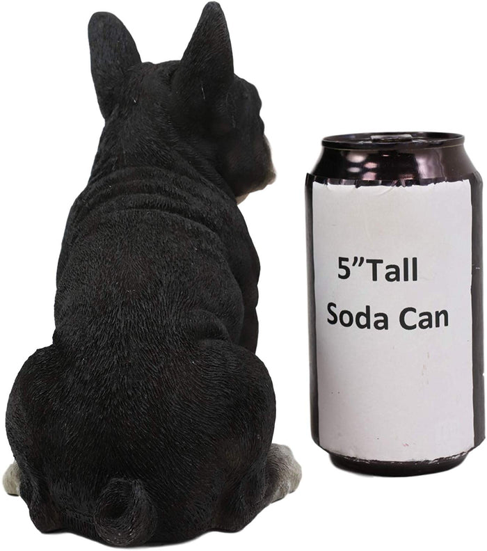 Ebros Realistic Black French Bulldog Puppy Dog With Glass Eyes Statue 7" Tall