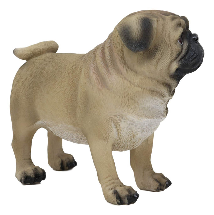 Ebros Realistic Lifelike Adorable Fawn Pug Dog Statue 7.75" L Figurine With Glass Eyes