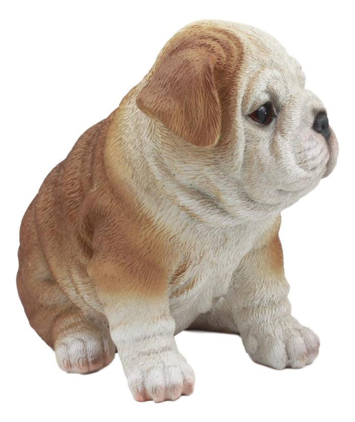 Ebros Realistic Lifelike Bulldog Puppy Statue 6" Tall British Bulldog Figurine