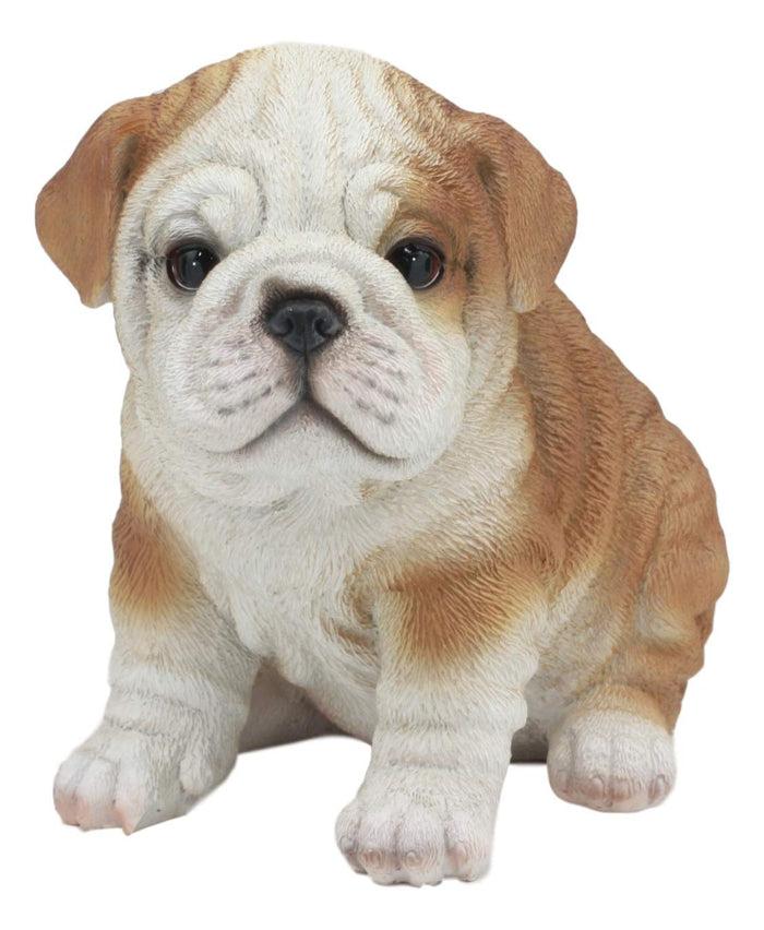Ebros Realistic Lifelike Bulldog Puppy Statue 6" Tall British Bulldog Figurine