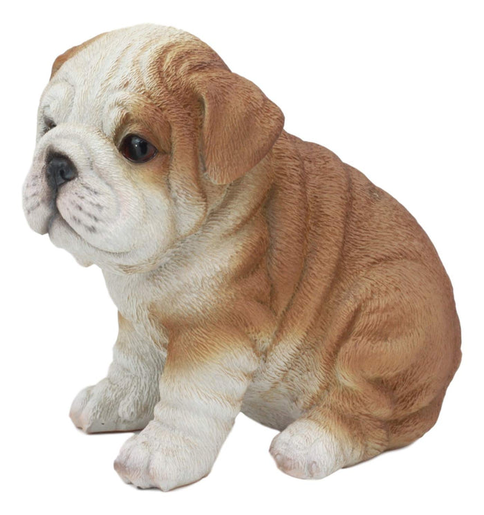 Ebros Realistic Lifelike Bulldog Puppy Statue 6" Tall British Bulldog Figurine