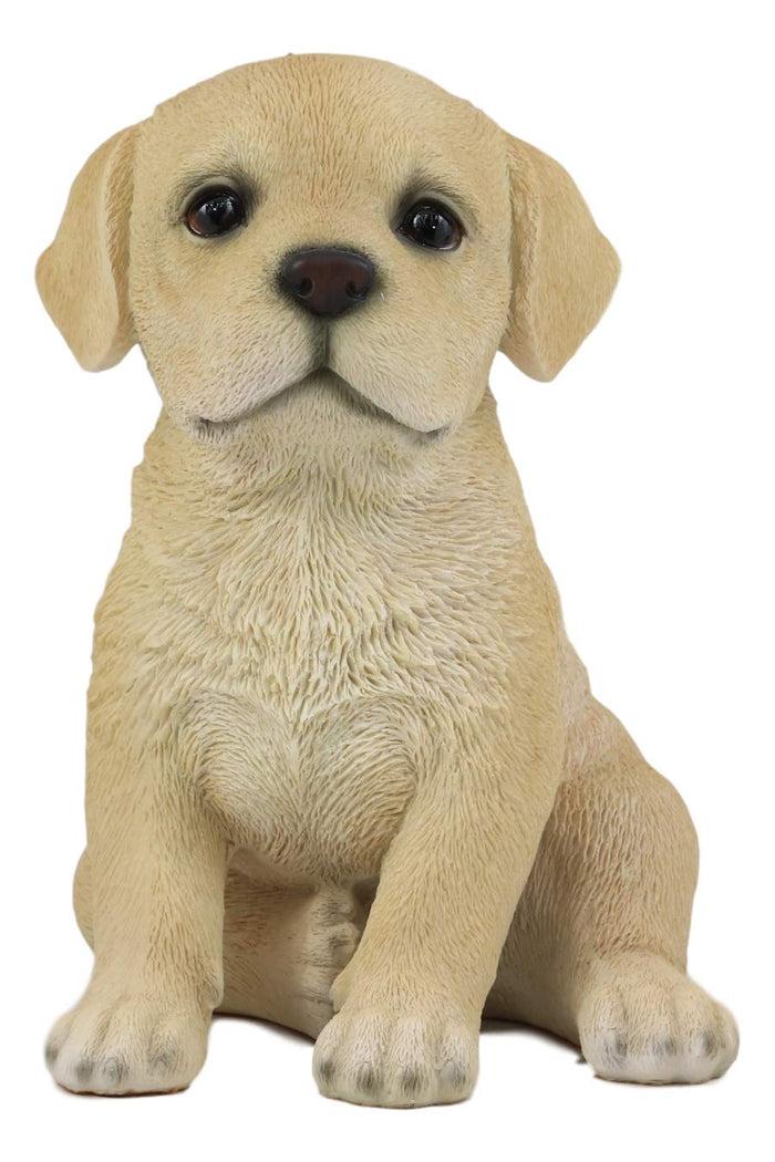 Ebros Realistic Sitting Adorable Labrador Puppy Statue 6.75" Tall Pet Pal