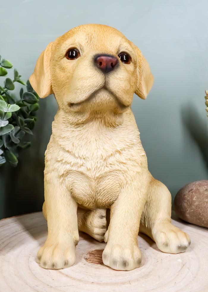 Ebros Realistic Sitting Adorable Labrador Puppy Statue 6.75" Tall Pet Pal Ebros Realistic Sitting Adorable Labrador Puppy Statue 6.75" Tall Pet Pal