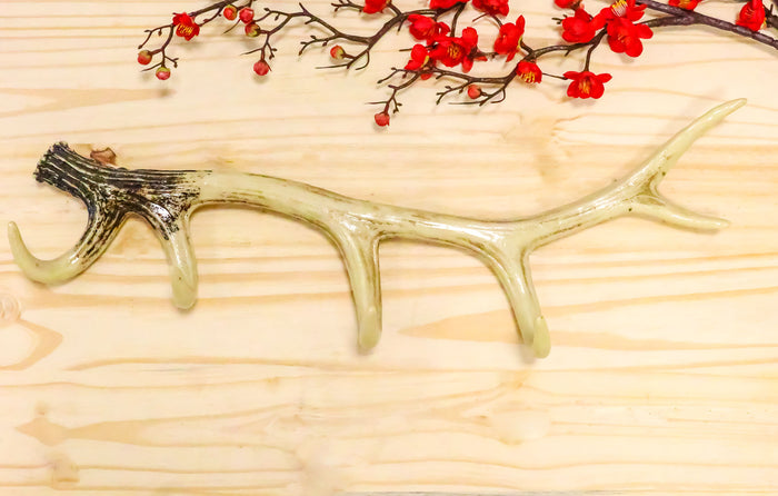 Ebros Rustic Hunters 6 Point Stag Deer Antler Rack Wall Hooks Decor Plaque 24"W