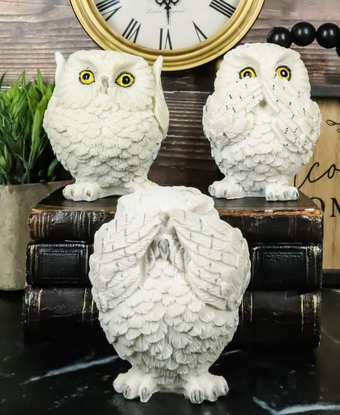 Ebros See Hear Speak No Evil Fat Baby White Owls Figurines Set Of 3 Mini Decor