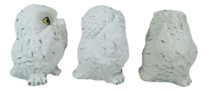 Ebros See Hear Speak No Evil Fat Baby White Owls Figurines Set Of 3 Mini Decor