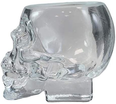Ebros Set Of 4 Translucent Acrylic Skeleton Skull Face Liquor Shot Glass Shooters