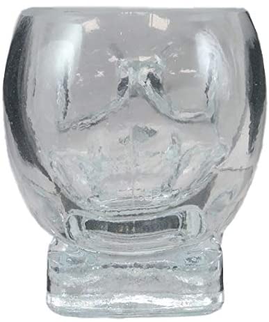 Ebros Set Of 4 Translucent Acrylic Skeleton Skull Face Liquor Shot Glass Shooters