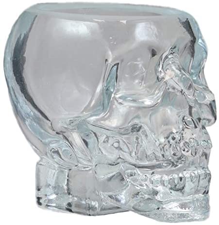Ebros Set Of 4 Translucent Acrylic Skeleton Skull Face Liquor Shot Glass Shooters