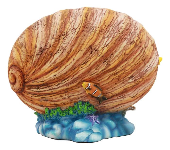 Ebros Sheila Wolk Mermaid Pearl Sleeping Mermaid Inside An Oyster Shell Statue