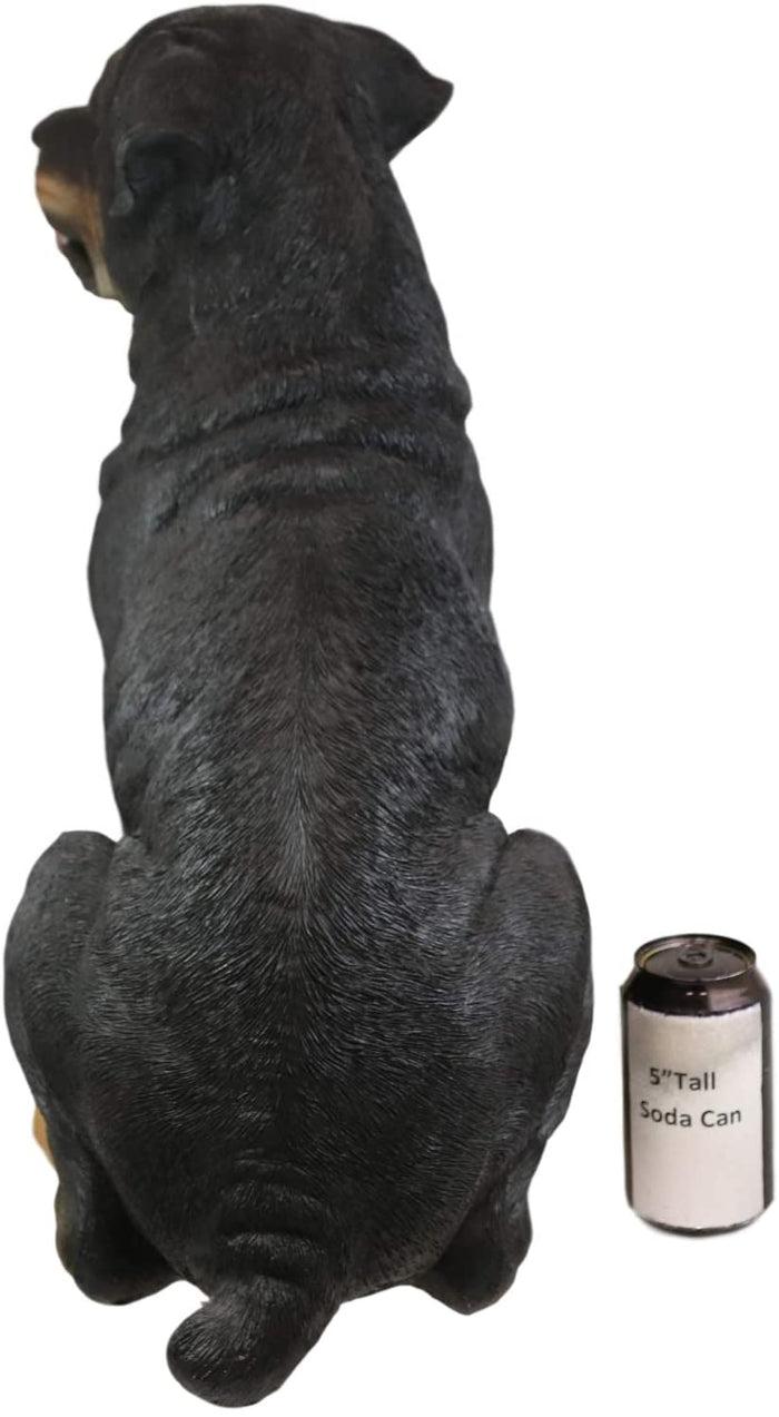 Ebros Sitting Rottie Rottweiler Dog Statue 21" Tall With Glass Eyes Collectible