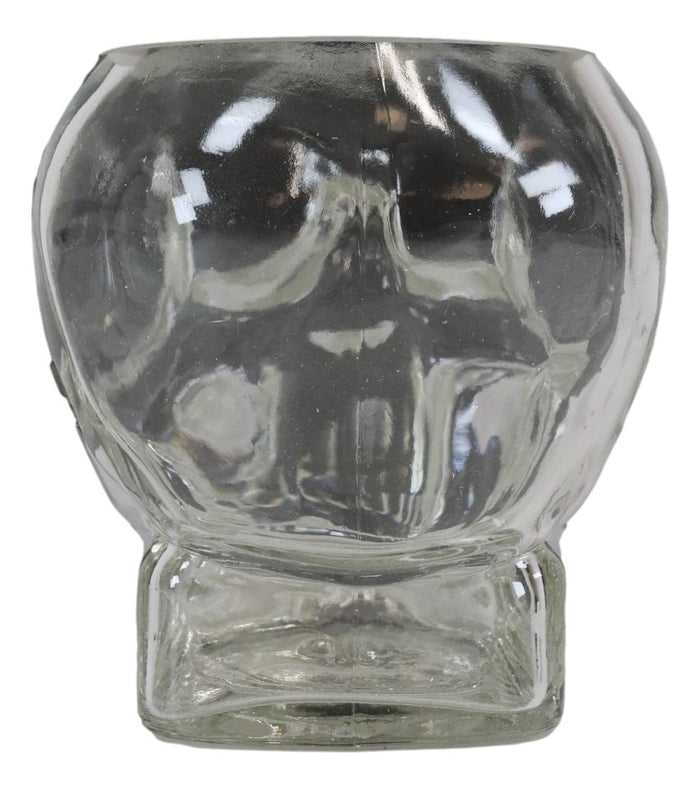 Ebros Skeleton Skull Glass Bowl Drink Stationery Office Holder Figurine Collectible