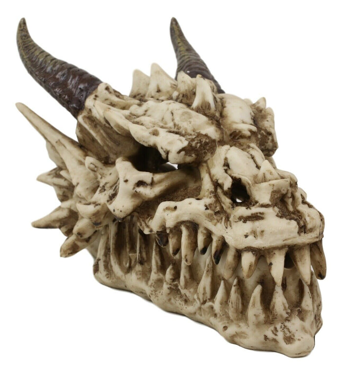 Ebros Smoking Nostrils And Eyes Skeleton Dragon Skull Incense Stick Burner Box