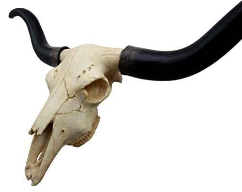 Ebros Texas Longhorn Steer Cattle Cow Skull Wall Hanging Plaque Figurine 21"L