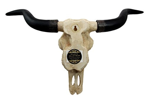 Ebros Texas Longhorn Steer Cattle Cow Skull Wall Hanging Plaque Figurine 21"L