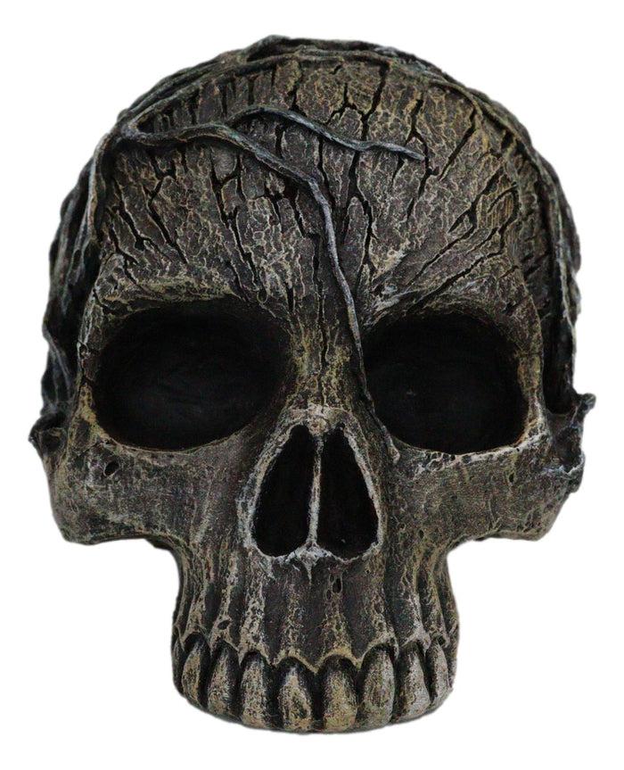 Ebros Tree Spirit Dryad Skull Collectible Figurine Desktop Home Decor 4.5H
