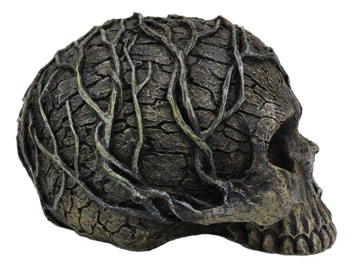 Ebros Tree Spirit Dryad Skull Collectible Figurine Desktop Home Decor 4.5H