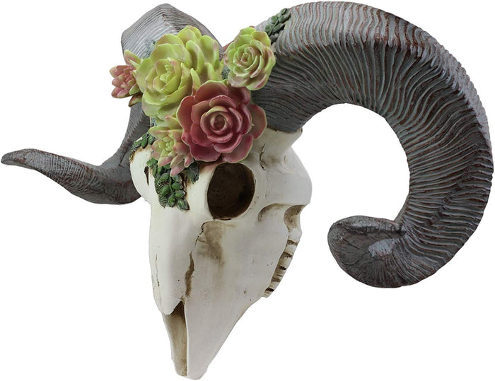 Ebros Western Aged Corsican Ram Sheep Horned Skull Wall Decor With Painted Succulents