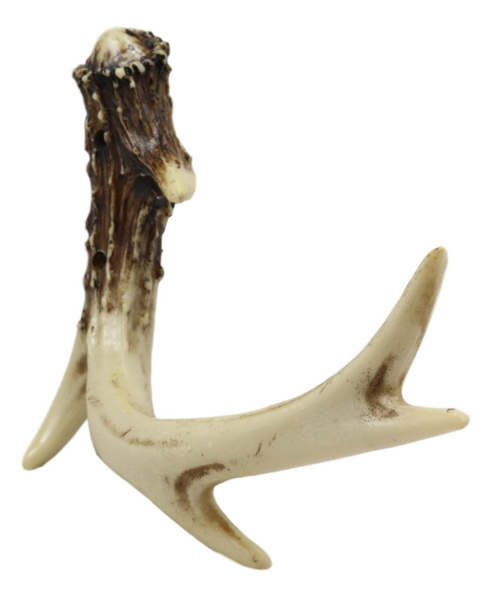 Ebros Western Rustic Hunters 5 Point Stag Deer Antler Rack Wall Hook Decor Plaque 8"Wide Multi-Purpose Coats Hats Scarves Belts Towels Pet Leashes Hangers Antlers Hooks