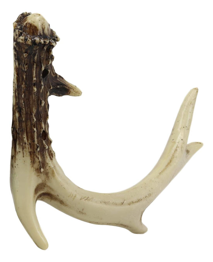 Ebros Western Rustic Hunters 5 Point Stag Deer Antler Rack Wall Hook Decor Plaque 8"Wide Multi-Purpose Coats Hats Scarves Belts Towels Pet Leashes Hangers Antlers Hooks