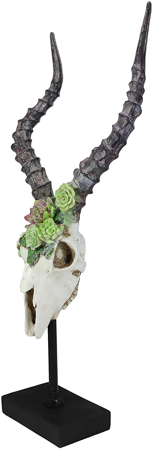 Ebros Western Vintage Aged Faux Taxidermy Greater Kudu Antelope Animal Totem Skull Head With Painted Flowering Succulents On Museum Gallery Mount Decor 3D Statue Replica Skulls Plaque Sculpture